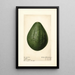 Persea Taft - Royal Charles Steadman - Royal Charles Steadman — framed artwork on a wall