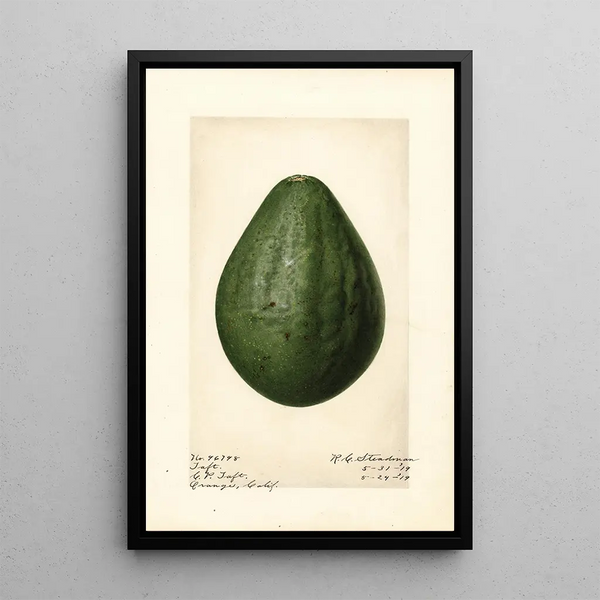 Persea Taft - Royal Charles Steadman - Royal Charles Steadman — framed artwork on a wall