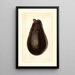 Persea Thompson - Royal Charles Steadman - Royal Charles Steadman — framed artwork on a wall