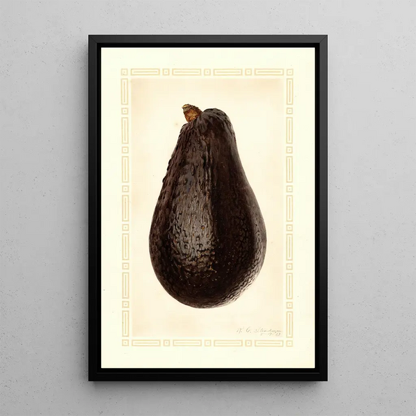 Persea Thompson - Royal Charles Steadman - Royal Charles Steadman — framed artwork on a wall