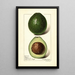 Persea Wagner - Royal Charles Steadman - Royal Charles Steadman — framed artwork on a wall