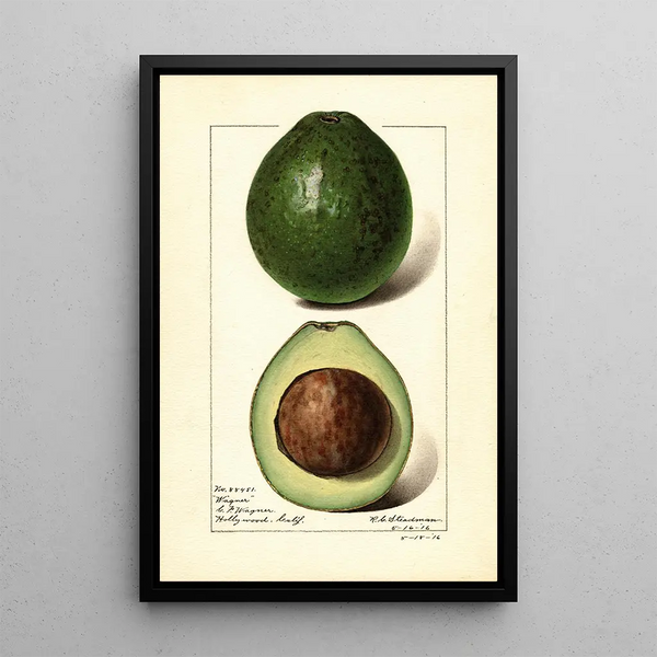 Persea Wagner - Royal Charles Steadman - Royal Charles Steadman — framed artwork on a wall