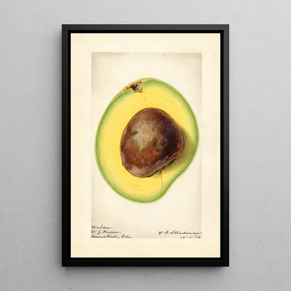 Persea Waldin - Royal Charles Steadman - Royal Charles Steadman — framed artwork on a wall