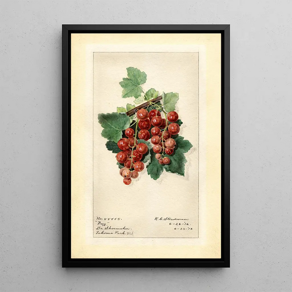 Ribes Fay - Royal Charles Steadman - Royal Charles Steadman — framed artwork on a wall