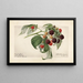 Rubus Haymaker - Royal Charles Steadman — framed artwork on a wall