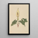 Flower Book Painting - Rudolf Koch — framed artwork on a wall