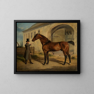 Purebred English Robert - Rudolf Kuntz — framed artwork on a wall