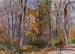 Autumn Wood Painting - Rudolf Schramm-Zittau — artwork view