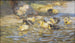 Ducks - Rudolf Schramm-Zittau — artwork view