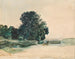 Study of a Tree - Rudolf von Alt — artwork view
