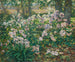 Fleurs de vent - Ruger Donoho — artwork view