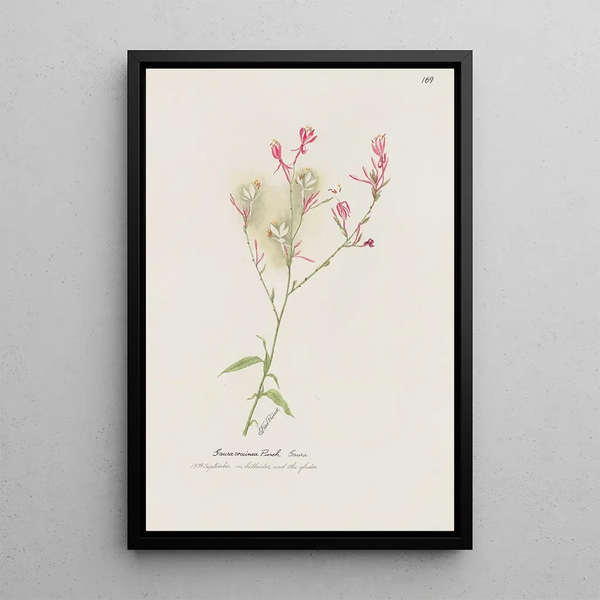Gaura Painting - S Fred Prince — framed artwork on a wall
