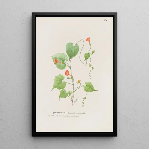 Liseron Painting - S Fred Prince — framed artwork on a wall