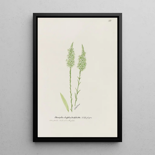 White Fingers Painting - S Fred Prince — framed artwork on a wall
