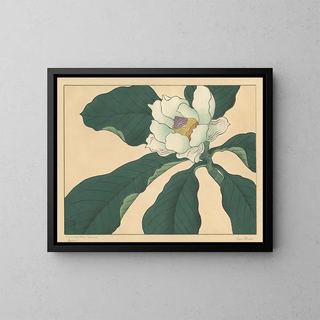 Fleurs de concombre - Sakai Hōitsu — framed artwork on a wall