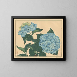 Hortensia - Sakai Hōitsu — framed artwork on a wall