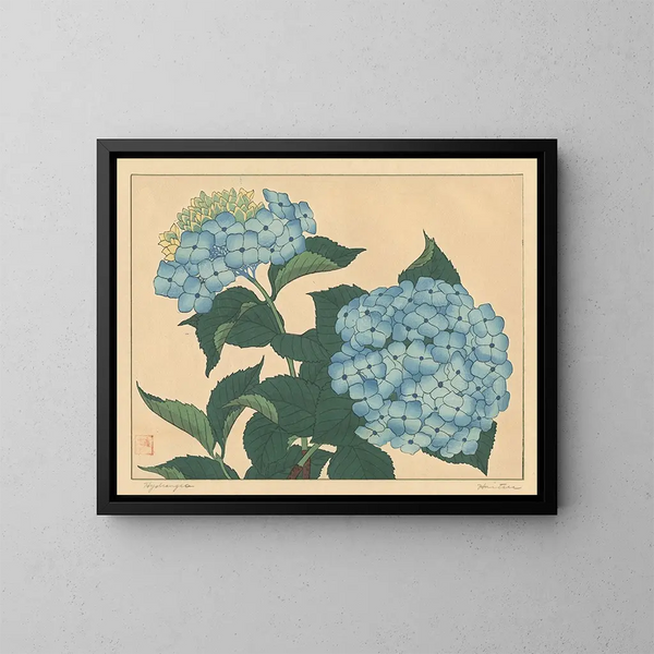 Hortensia - Sakai Hōitsu — framed artwork on a wall