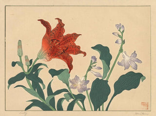 Lily - Sakai Hōitsu — artwork view