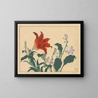 Lily - Sakai Hōitsu — framed artwork on a wall