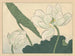 Lotus - Sakai Hōitsu — artwork view