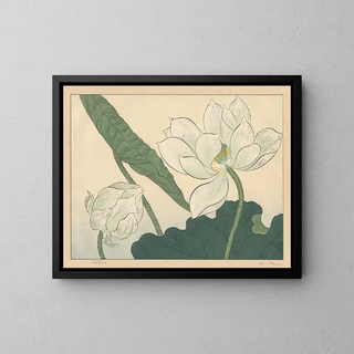 Lotus - Sakai Hōitsu — framed artwork on a wall