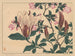 Magnolia - Sakai Hōitsu — artwork view