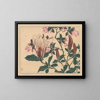 Magnolia - Sakai Hōitsu — framed artwork on a wall