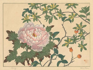 Peony - Sakai Hōitsu — artwork view