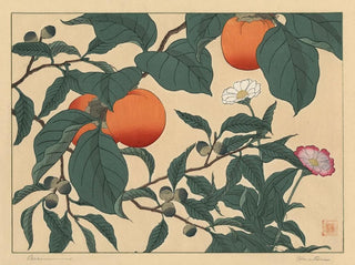 Kaki - Sakai Hōitsu — artwork view