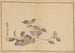 gajō Pl02 - Sakai Hōitsu — artwork view