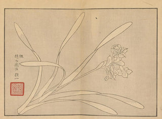 Sakai Hoitsu, flower and bird painting, Pl10 - Sakai Hōitsu — artwork view