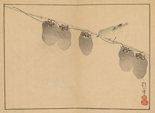 Sakai Hoitsu, flower and bird painting, Pl. 13 - Sakai Hōitsu — artwork view