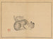 Sakai Hoitsu, flower and bird painting, Pl21 - Sakai Hōitsu — artwork view