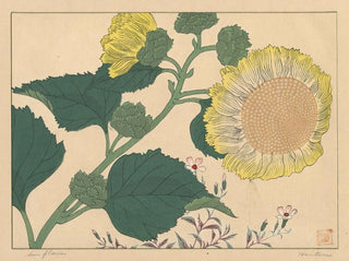 Sunflowers - Sakai Hōitsu — artwork view
