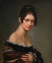 Portrait of a young woman - Salomon-Guillaume Counis — artwork view