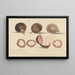The fruit of the mangosteen, Malacca - Samuel Davis — framed artwork on a wall