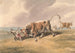 a bull attacking a dog - Samuel Howitt — artwork view