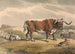 a bull and a rabbit - Samuel Howitt — artwork view