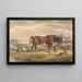 a bull and a rabbit - Samuel Howitt — framed artwork on a wall