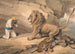 a standing lion on a wounded leopard - Samuel Howitt — artwork view