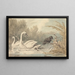 a Crow and Two Swans - Samuel Howitt — framed artwork on a wall