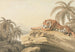 a resting tiger - Samuel Howitt — artwork view