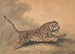 a tigress leaping to the right - Samuel Howitt — artwork view