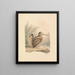 A woodcock - Samuel Howitt — framed artwork on a wall
