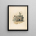 The zebra - Samuel Howitt — framed artwork on a wall
