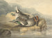 Teal mort - Samuel Howitt — artwork view