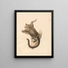 Flying Squirrel Painting - Samuel Howitt — framed artwork on a wall