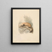 Putois - Samuel Howitt — framed artwork on a wall