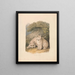 The Canadian Lynx seen from life - Samuel Howitt — framed artwork on a wall