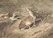 Two dogs attacking a cornered deer - Samuel Howitt — artwork view